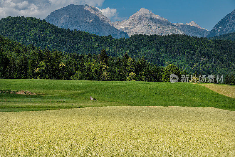 Scenic view of mountains Grintovec and Skuta , Kamniško Savinjske Alpe, Gorenjska,Slovenija,Europe